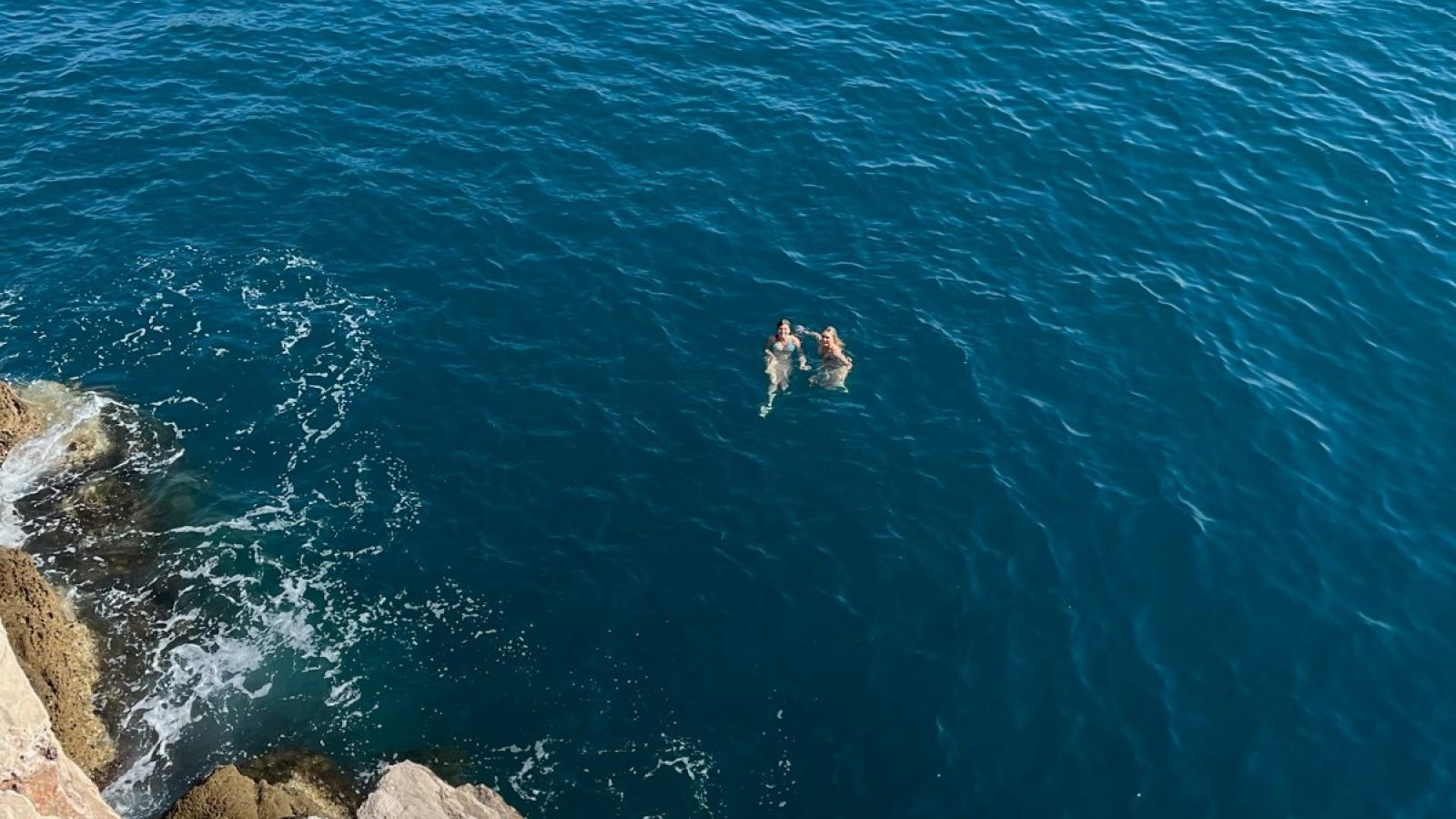 amelia and a friend swimming in open water
