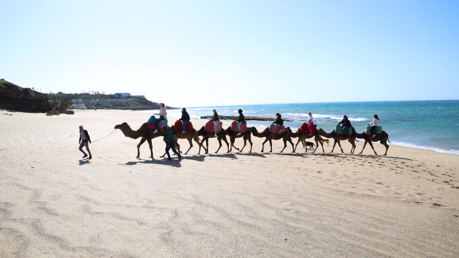 amelia riding camels in morocco