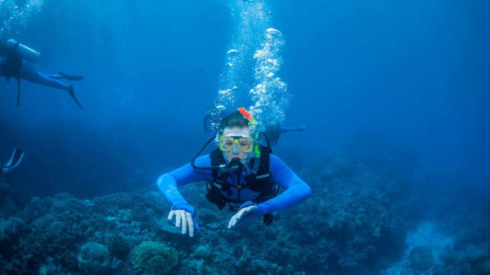 david scuba diving in the ocean
