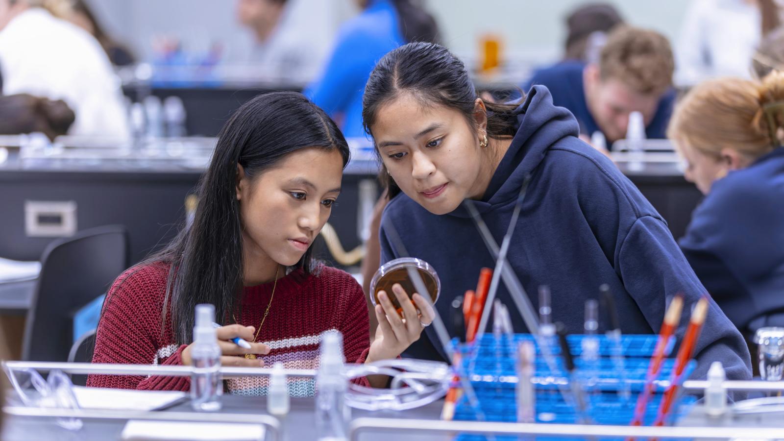 students examining a petri dish together in the microbiology lab