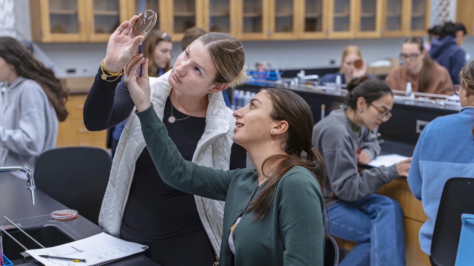 students examining a petri dish in the microbiology lab