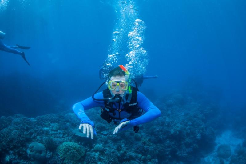 david scuba diving in the ocean