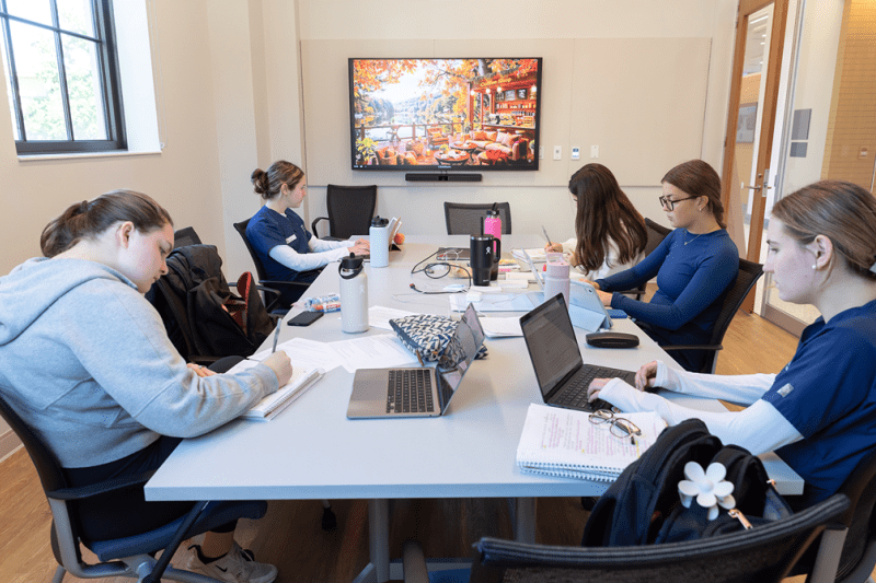 nursing students studying together in a study room of the nursing school